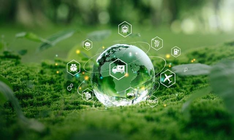 BRICS green economy in action: experience of China, Russia, and India