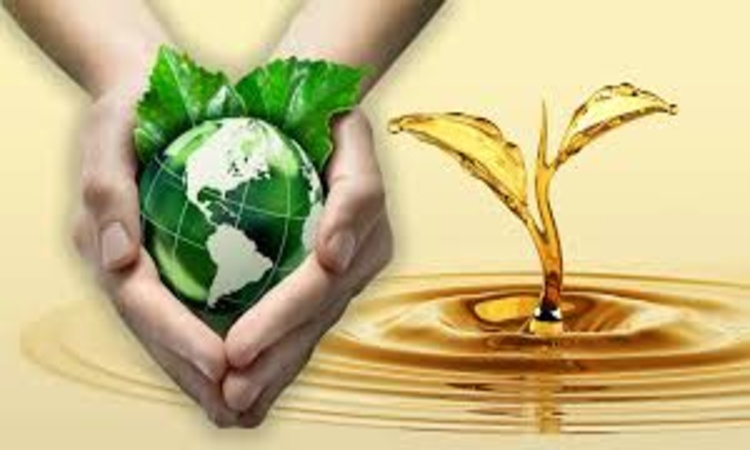 پروژه‌های BRICS-BEST و BIOGEN؛ پیشرفت در انرژی‌های نو و بهره‌وری انرژی