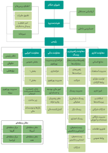 ساختار و ارکان مدیریتی بانک توسعه نوین شامل شورای حکام، هیئت‌مدیره، رئیس و معاونان