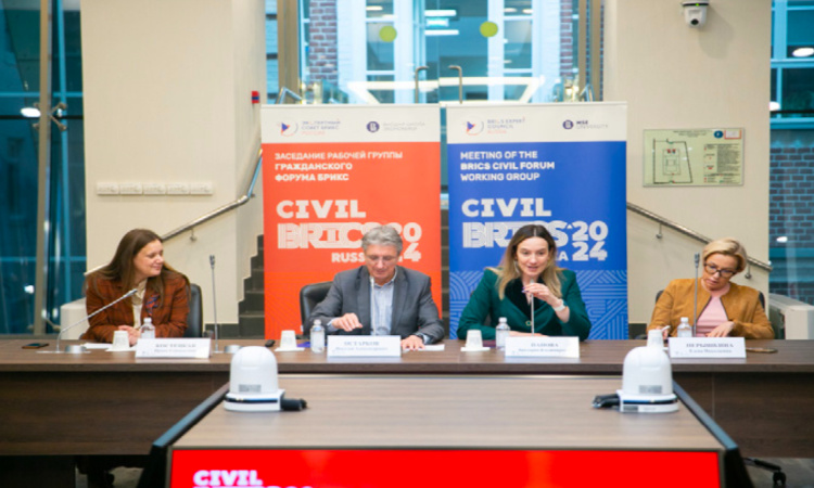 BRICS Civil Council and Citizen-Government Linkages