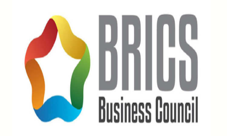 BRICS Business Council and Its Role in Developing Economic and Industrial Cooperation