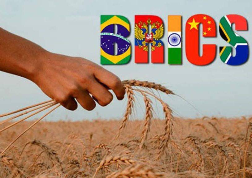 گسترش نوسازی صنعت کشاورزی اندونزی از مسیر همکاری با بریکس