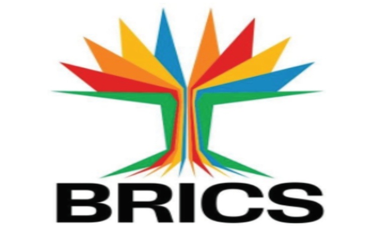 Framework of Proposed Initiatives within the BRICS Group