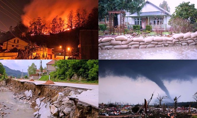 CESSW Project in Disaster Prevention and Monitoring