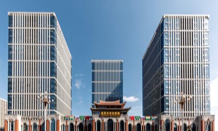 China–BRICS Scientific, Innovation, and Industrial Partnership (SIIP): Projects and Achievements