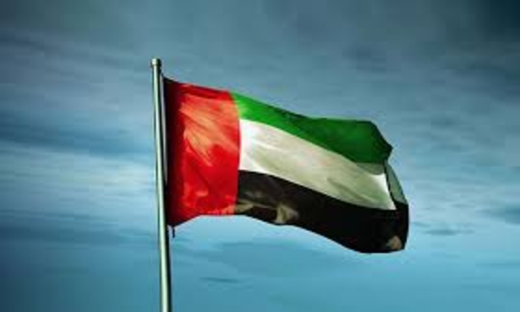 Conditions, Motivations, and Implications of the United Arab Emirates’ Membership in the BRICS New Development Bank